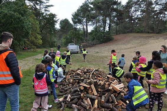Scholen aan de slag met kinderarmoede-acties - Hechtel-Eksel