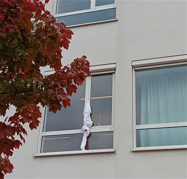 Scholen hangen geknoopte lakens uit - Beringen