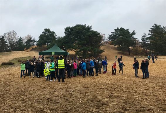 Scholen peter over duinen en heide - Meeuwen-Gruitrode