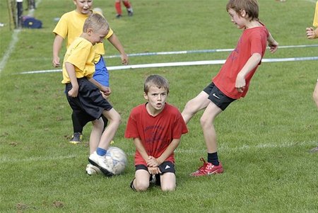 Scholencompetitie op de Bosuil - Hamont-Achel & Pelt