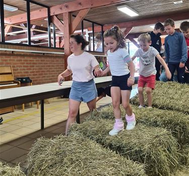 Scholenrun tussen twee scholen - Hamont-Achel