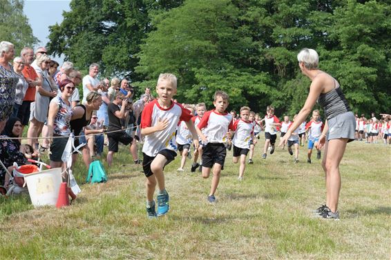 Scholenveldloop Paal - Beringen