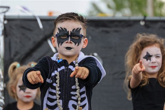 Schommelrock, een swingend Feestival - Lommel