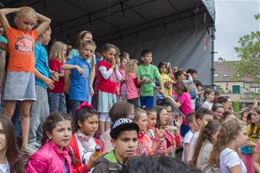 Schoolfeest in De Beerring - Beringen