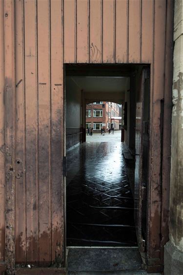 Schoolpoort - Beringen