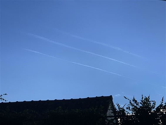 Schoonschrift in de lucht - Pelt