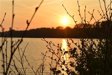 Schrijf mee aan een klimaatvriendelijk Beringen - Beringen