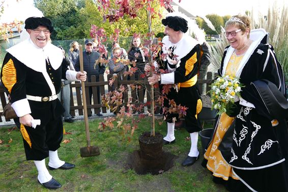 Schutterij plantte weer haar koningsboom - Pelt