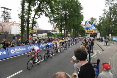 Seingevers Benelux Tour gezocht - Beringen