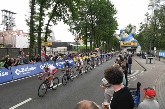 Seingevers voor de Baloise Belgium tour gezocht - Beringen