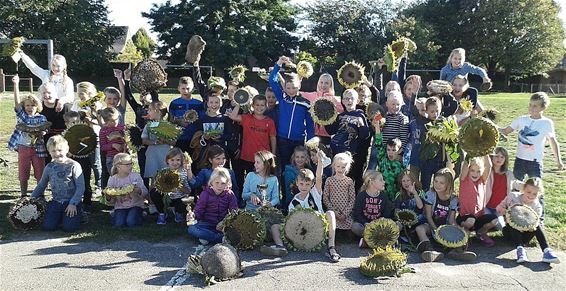 Sem had de grootste zonnebloem - Neerpelt