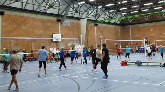 Seniorennetbal in De Posthoorn - Hamont-Achel