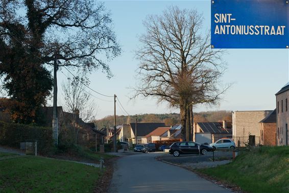 Sint-Antoniusstraat - Beringen