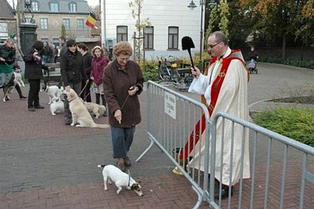 Sint-Hubertus is weer gevierd - Neerpelt