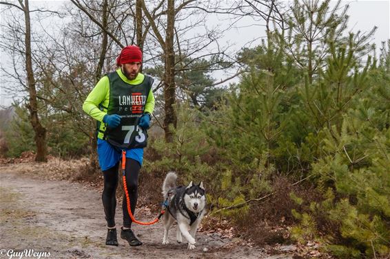 Sledehondentocht in Kattenbos - Lommel