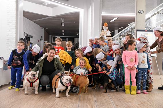 Sleep-in voor het Bulldog Resort uit Paal - Beringen