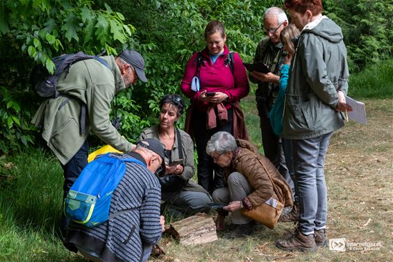 Slow-Walker-wandeling in Den Tip - Lommel