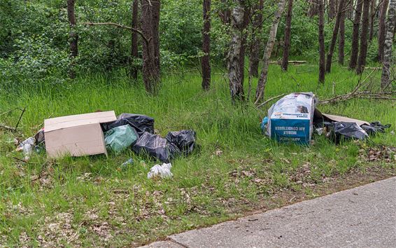 Sluikstort in de Witherendreef - Pelt