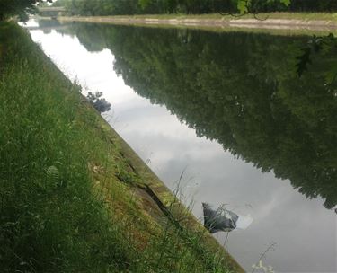 Sluikstort in het kanaal - Neerpelt