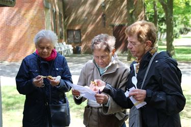 Smaakwandeling Okra Werkplaatsen - Lommel