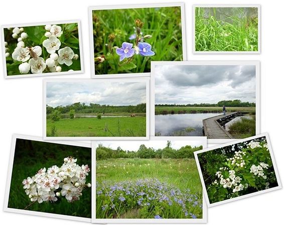 Smeetshof 'natuurgebied van de maand' - Bocholt