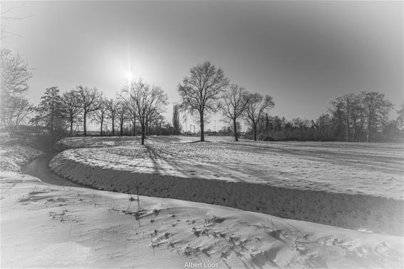 Sneeuw aan de Kadijk... - Pelt