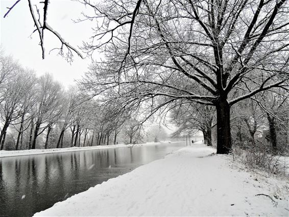 Sneeuw aan het kanaal - Pelt