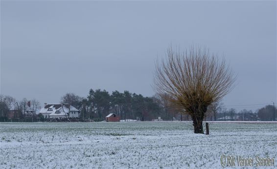 Sneeuw bij de Romeinse Dijk - Pelt