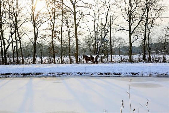 Sneeuw en ijs in Gelderhorsten - Lommel