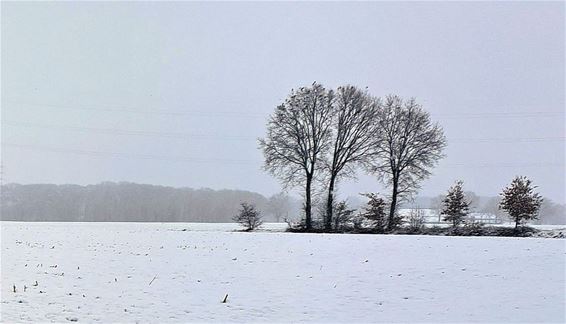 Bocholt - Sneeuw en stilte