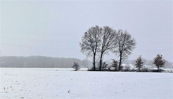 Sneeuw en stilte - Bocholt