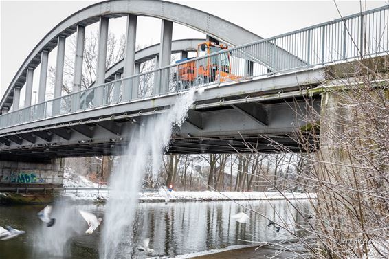 Sneeuw: fietspaden moeten sneeuwvrij - Pelt