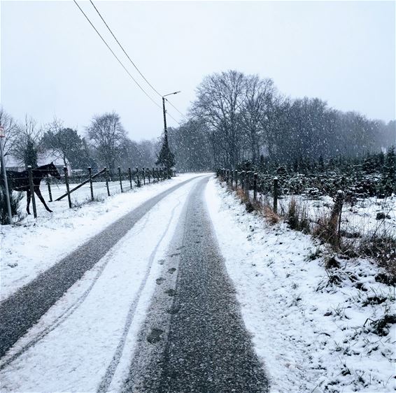 Sneeuw in de Olmenstraat - Pelt