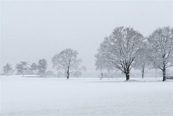 Sneeuw in de Ruiterstraat - Hamont-Achel