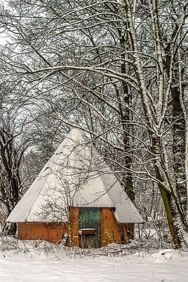 Sneeuw in het Hobos - Overpelt