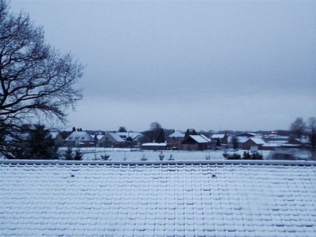 Sneeuw op de Riet - Overpelt