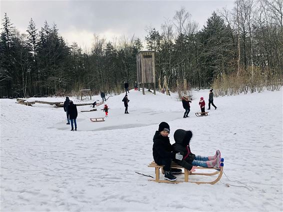 Sneeuwplezier in het Heesakkerpark - Pelt