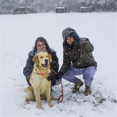 Sneeuwpret voor honden - Beringen