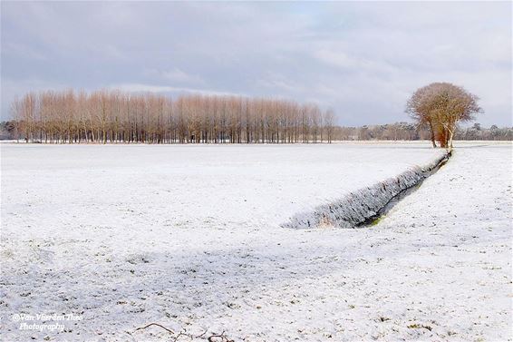 Sneeuwtapijt bij de grens - Hamont-Achel