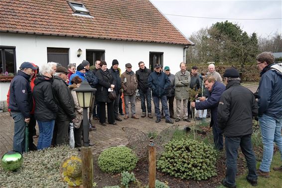 Snoeien doet groeien - Neerpelt