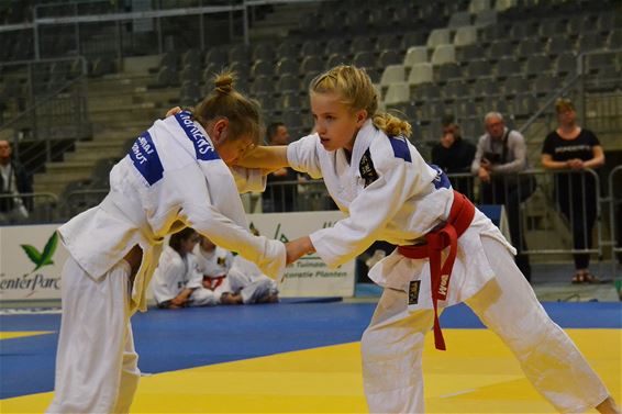 Soeverein Judocup - Lommel