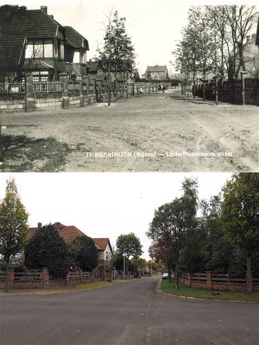 Sorbebomenstraat - Beringen