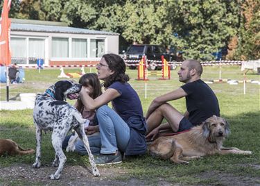 Spaanse 'Natte Neuzen' in zaal Den Horst - Lommel