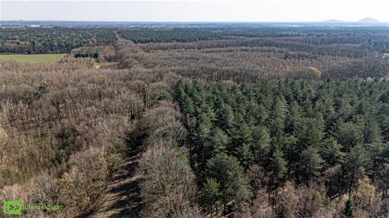 Spaar stempels en win prijzen in Nationaal Park - Oudsbergen