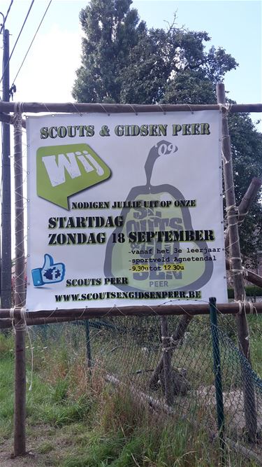 Spandoeken van Scouts Peer gestolen - Peer