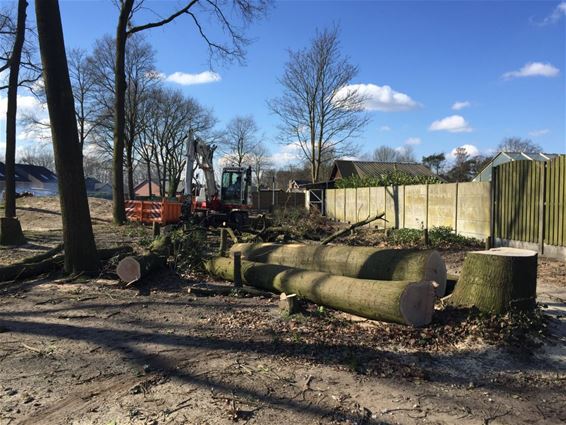 Speelplein Marsenhoven krijgt meer zon - Bocholt