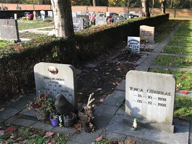 Speeltjes op kindergraven - Beringen