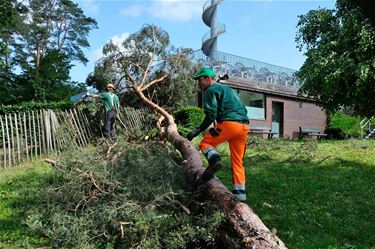 Speeltuin Kapelleke terug open - Beringen