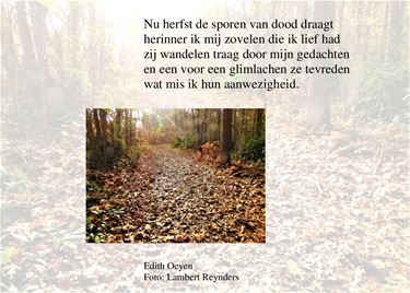 Sporen van de dood - Beringen & Leopoldsburg