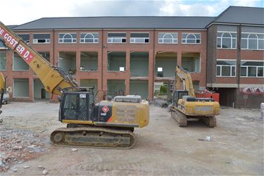 Sloop college uitgesteld door nestjes gierzwaluwen - Beringen